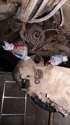 IMG-20161205-WA0007.jpg
