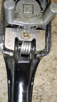 DSC_1560.jpg
