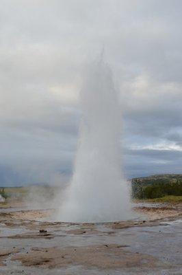 Dsc_1277kleiner.jpg