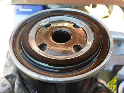 IMG_20180502_091830_klein.jpg