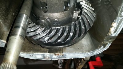 IMG-20180209-WA0007.jpeg