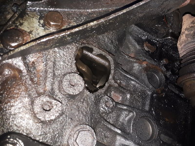 20180912_180711.jpg