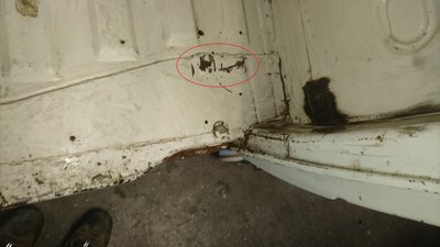 DSC_1143.JPG
