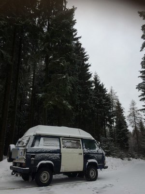 Winter.jpg