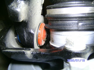 BILD6148.JPG