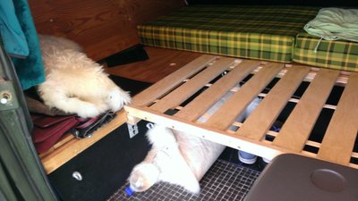 WP_20160807_008.jpg
