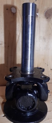 20210914_185058_Zapfen_unten.jpg