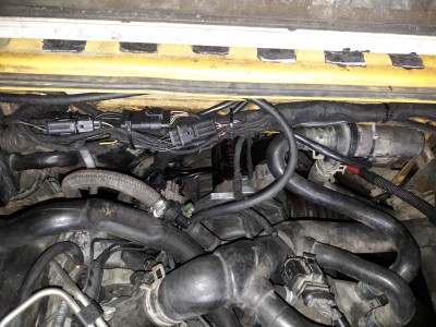 AMP-Superseal stecker zum Kabelbaum richtung Fahrerraum