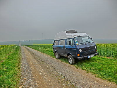 Westi.JPG