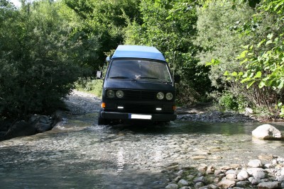 IMG_0081_1.jpg