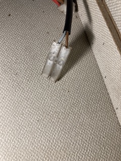 IMG_1017.jpeg