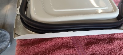 IMG_20230609_075446_920.jpg
