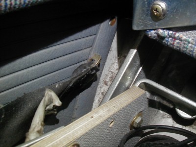 PB040006.JPG