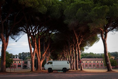 Parco Regionale Migliarino