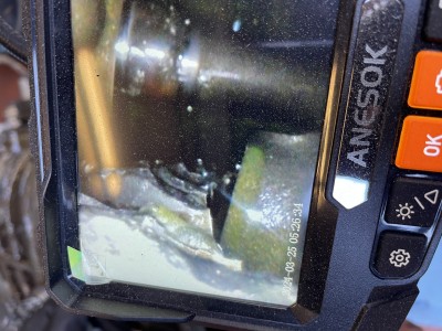 IMG_0897.jpeg