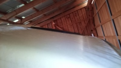 IMG_20241120_100556_1.jpg
