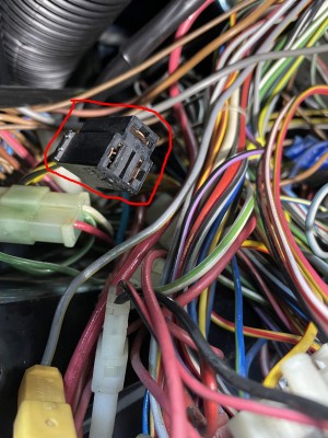 3-pol. Stecker-1.jpg